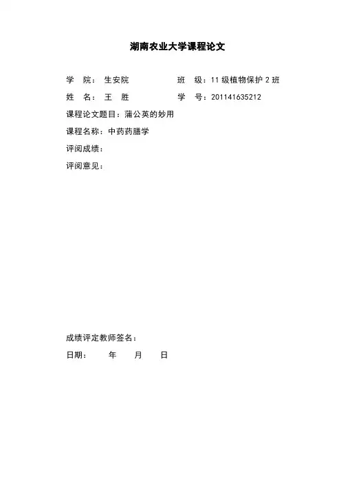 湖南农业大学课程论文