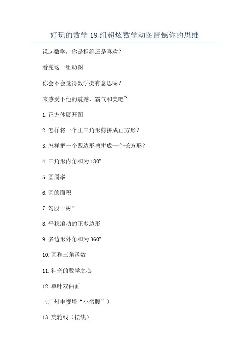 好玩的数学19组超炫数学动图震憾你的思维