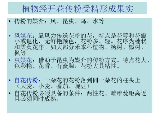 被子植物果实
