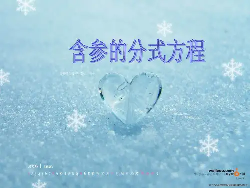 数学 含参分式