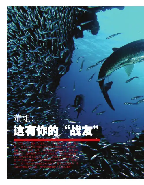 董姐：这有你的“战友”