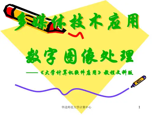 参考：PS中滤镜的使用模板