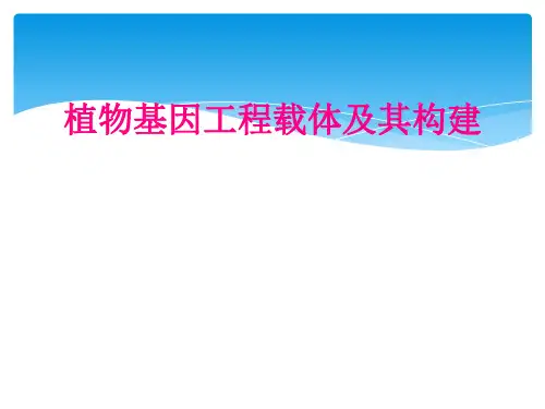 植物基因工程载体及其构建