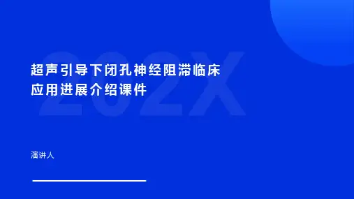 超声引导下闭孔神经阻滞临床应用进展介绍课件