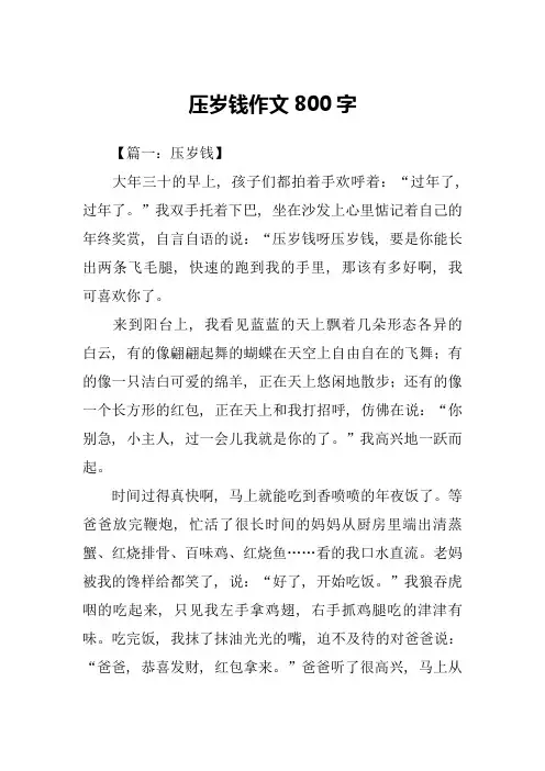 压岁钱作文800字