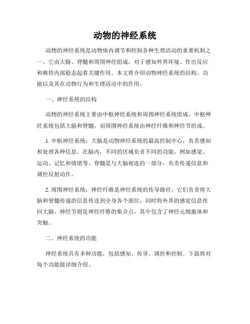 动物的神经系统