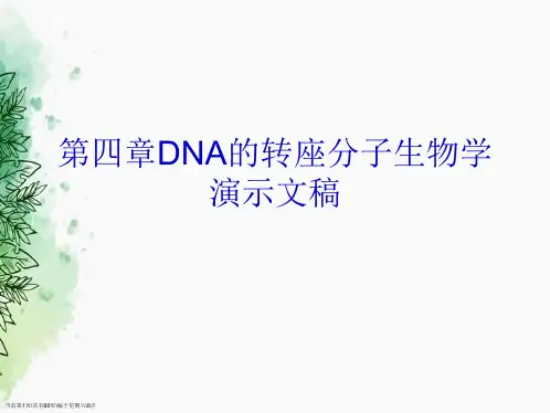 第四章DNA的转座分子生物学2