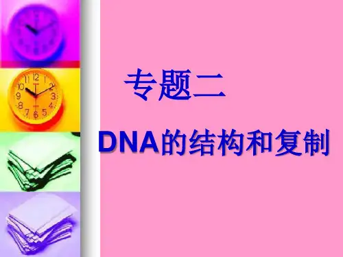 高三生物一轮复习课件：DNA的结构和复制