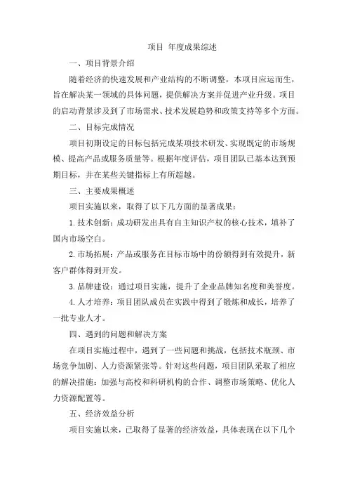 项目 年度成果综述