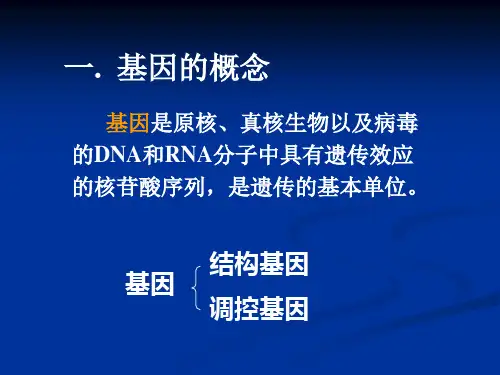 第三章基因与基因组的结构