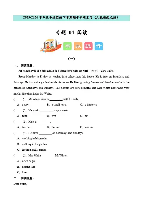 专题04阅读--2023-2024学年三年级英语下学期期中专项复习(人教新起点版)