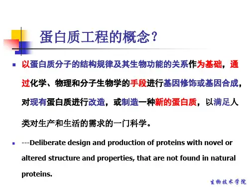 蛋白质结构基础
