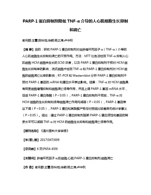 PARP-1蛋白抑制剂降低TNF-α介导的人心肌细胞生长抑制和凋亡