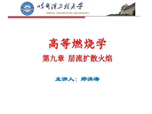 高等燃烧学讲义第9章(郑洪涛2学时)