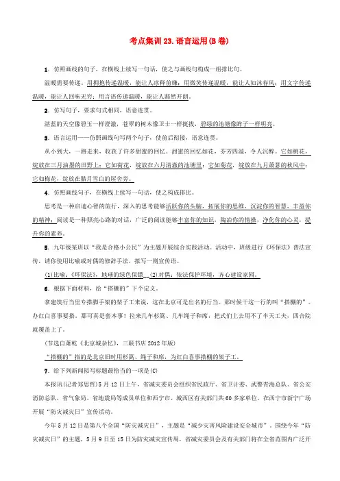 【名师面对面】2020版中考语文考点集训23_含答案