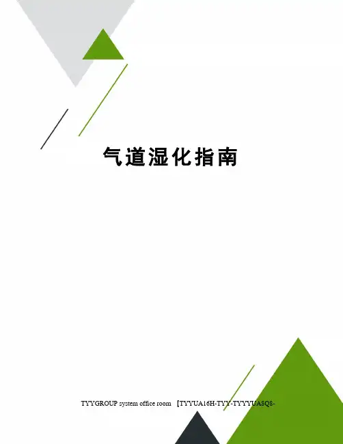 气道湿化指南