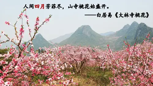 《你是人间的四月天》ppt教学课件