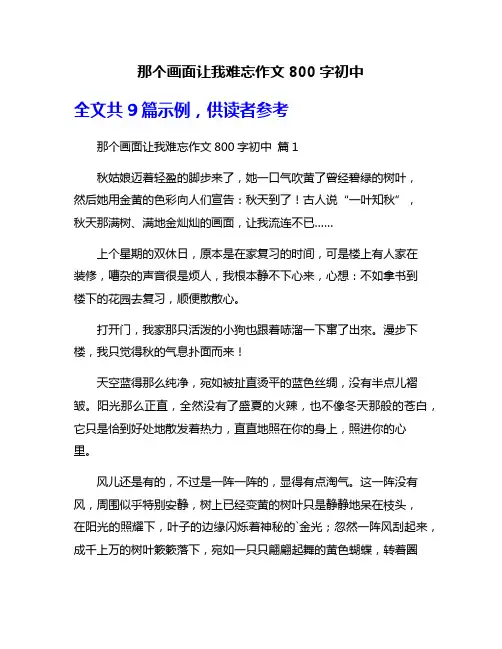 那个画面让我难忘作文800字初中