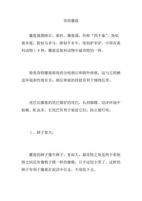 奇兽麋鹿