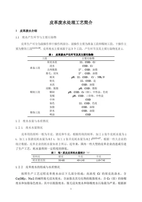 皮革废水处理工艺简介