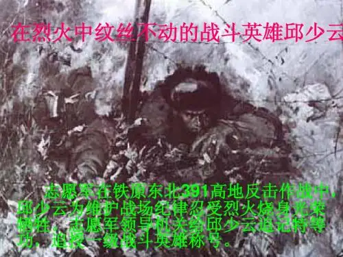 第14课《再见了_亲人》ppt课件