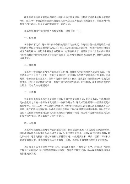 母牛哺乳期间如何养殖与管理？