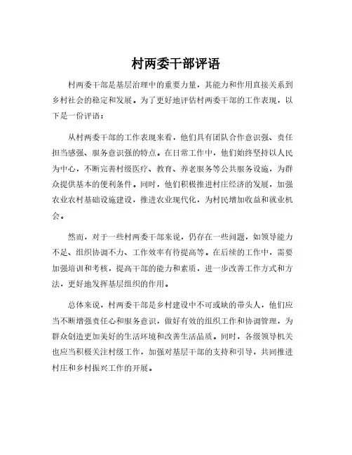 村两委干部评语