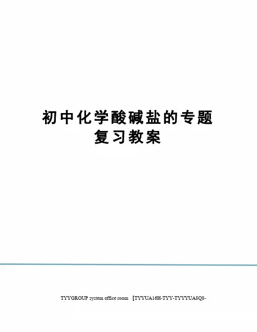 初中化学酸碱盐的专题复习教案