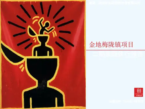 深圳某房地产开发项目二期策略执行报告(