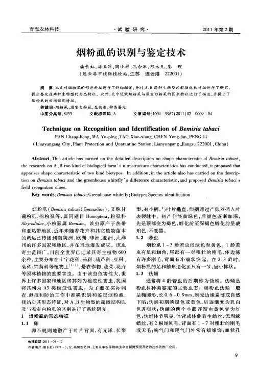 烟粉虱的识别与鉴定技术