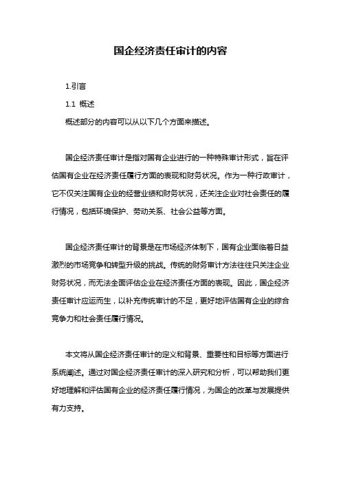 国企经济责任审计的内容