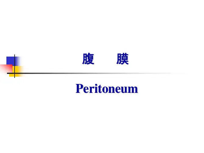 系统解剖学高清图谱-07腹膜