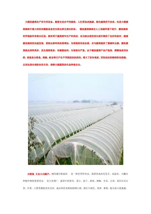 大棚害虫白粉虱的防治方法