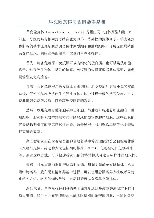 单克隆抗体制备的基本原理