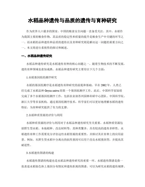 水稻品种遗传与品质的遗传与育种研究