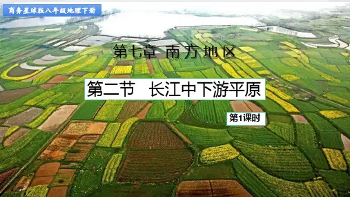 商务星球版八年级地理下册《长江中下游平原》PPT课件