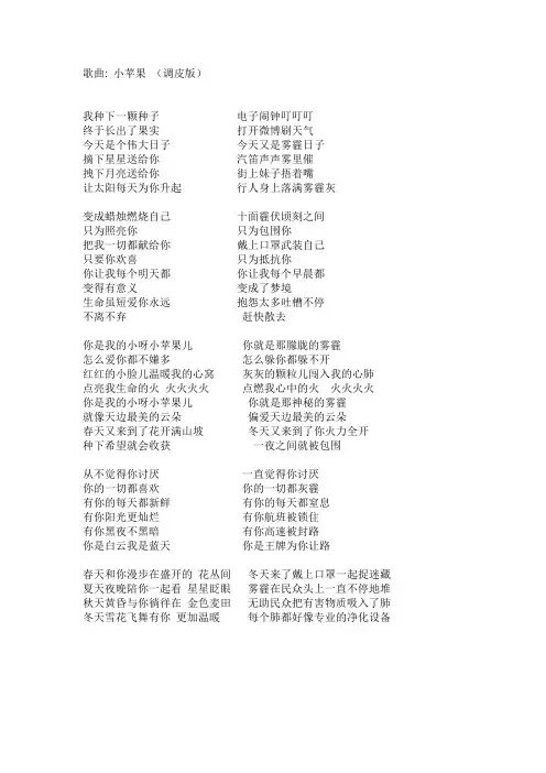 小苹果改编词