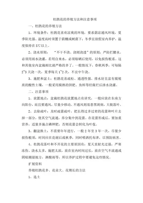 杜鹃花的养殖方法和注意事项