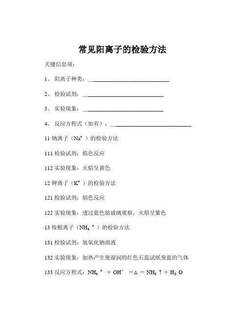 常见阳离子的检验方法