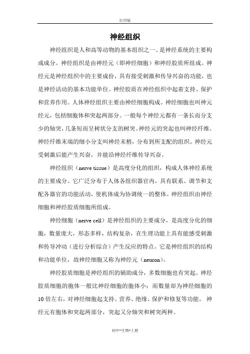 人教版生物-七年级上册-生物七上 2.2.2 动物体的结构层次(神经组织)