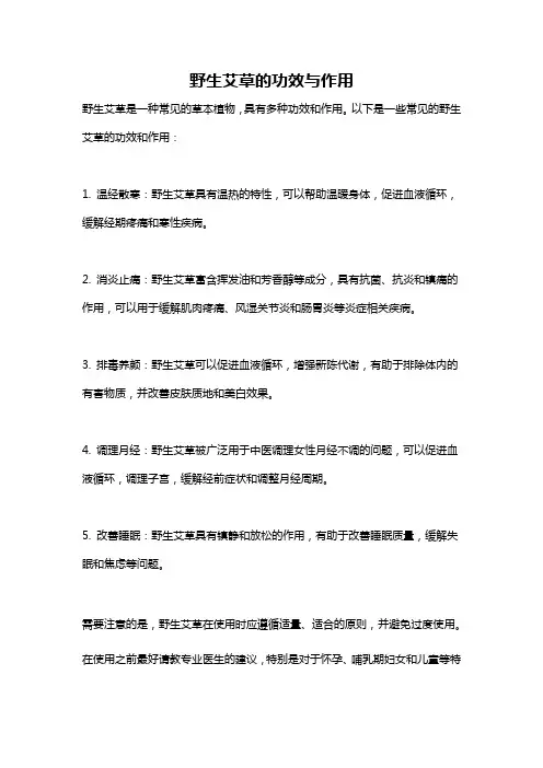 野生艾草的功效与作用