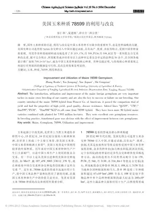 美国玉米种质78599的利用与改良_张仁和