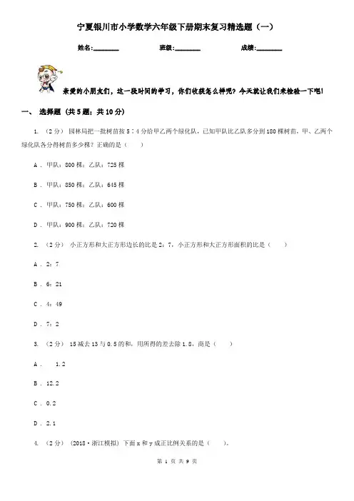 宁夏银川市小学数学六年级下册期末复习精选题(一)
