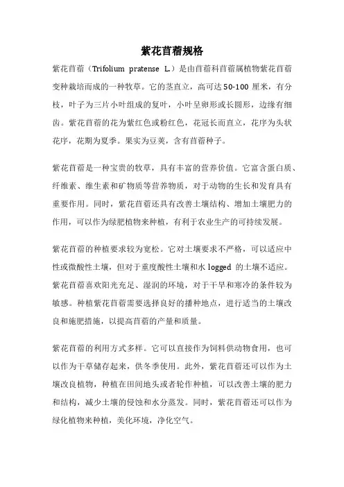 紫花苜蓿规格