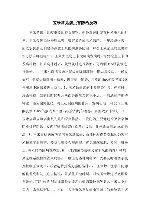 玉米常见病虫害防治技巧