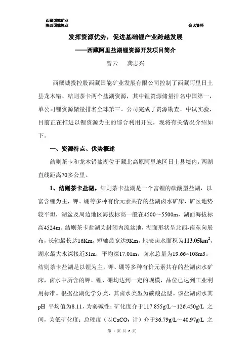 发挥资源优势,促进基础锂产业跨越发展 ---西藏阿里盐湖锂资源开发项目简介