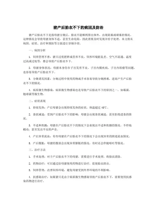 猪产后胎衣不下的病因及防治
