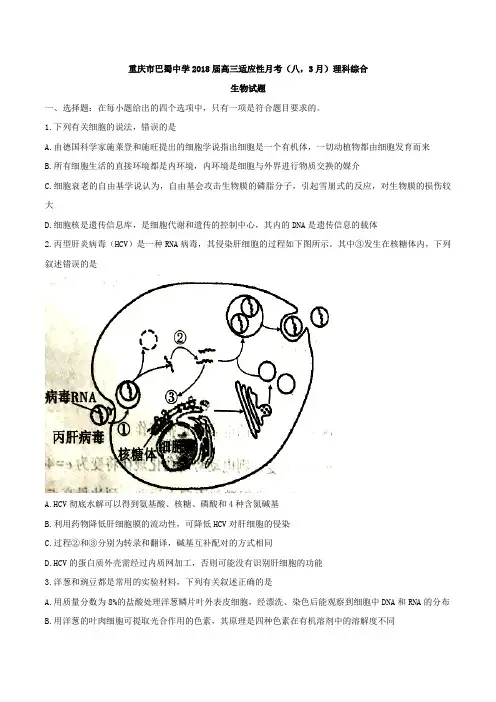 全国百强校word重庆市巴蜀中学2018届高三适应性月考八,3月理科综合生物试题答案不全1