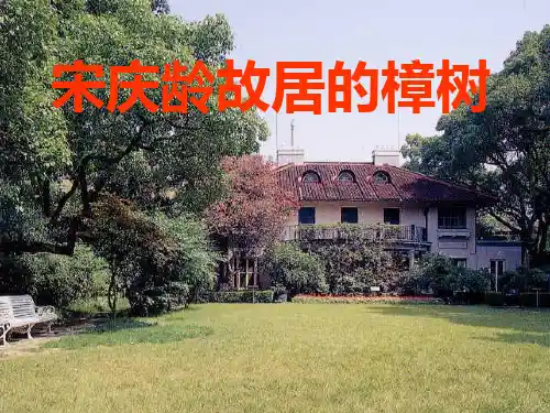 《宋庆龄故居的樟树》公开课PPT课件