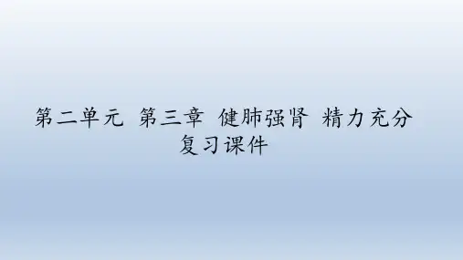 冀教版生物七年级下册：第二单元 第三章 健肺强肾 精力充沛  复习课件